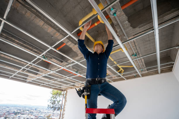 Best Plumbing Services Near Me  in St Ann, MO