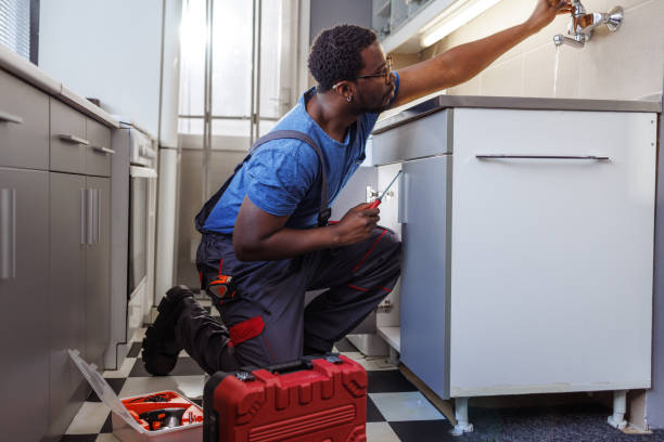 Best Hot Water Heater Installation  in St Ann, MO