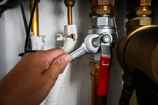Best Plumbing Repair Near Me  in St Ann, MO